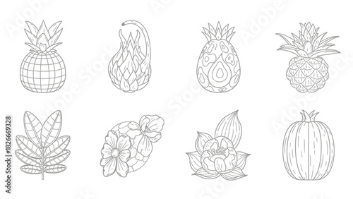 Line art illustration featuring various fruits, flowers, and plants in a detailed, intricate style.