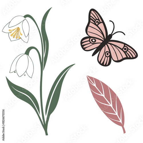Delicate Snowdrop Flowers and Pink Butterfly Illustration Keywords: snowdrop, flower, spring