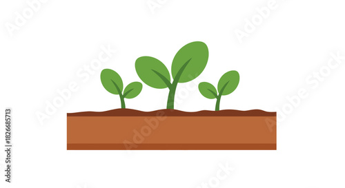 Flat lay illustration of three green seedlings growing in brown soil against a white background.