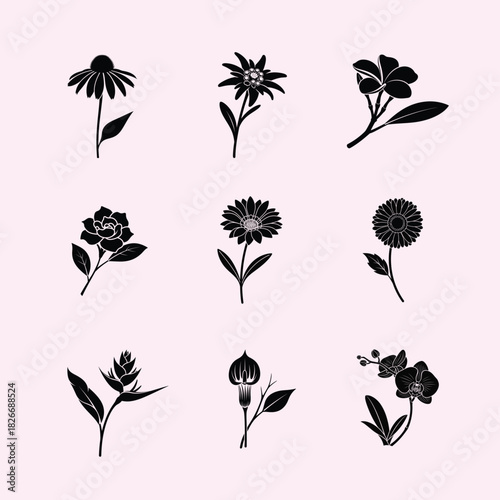 Floral silhouette collection nine unique flower designs in black and white