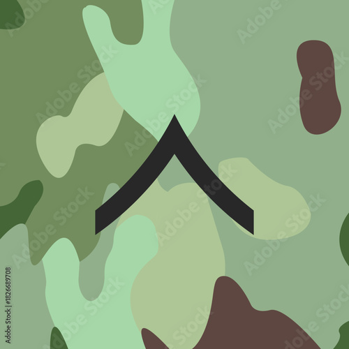 Private's emblem icon on Army combat uniform, insignia, vector.