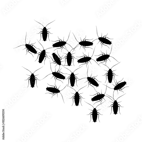 Cockroach Swarm