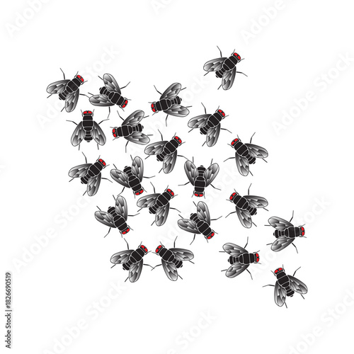Swarm of Flies