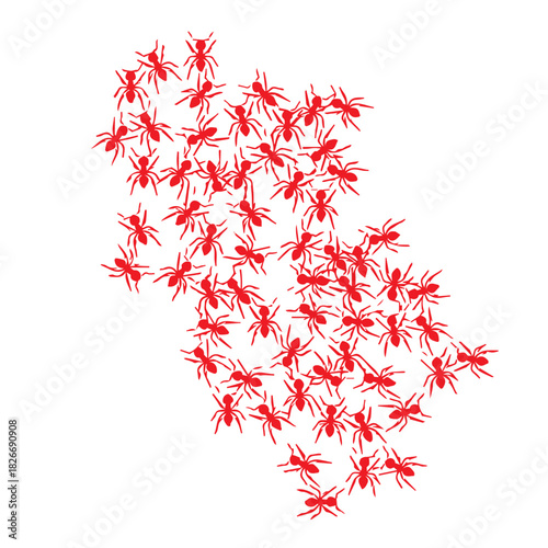 Red Ant Colony Swarm