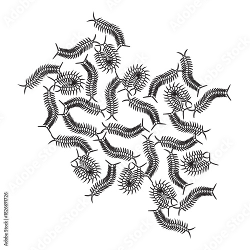 Centipede Swarm