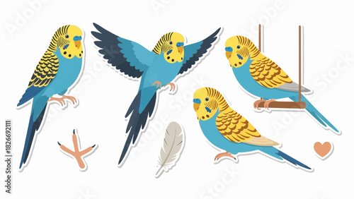 Budgie Parrot Sticker Set – Flat Vector Pet Bird and Accessories Illustration