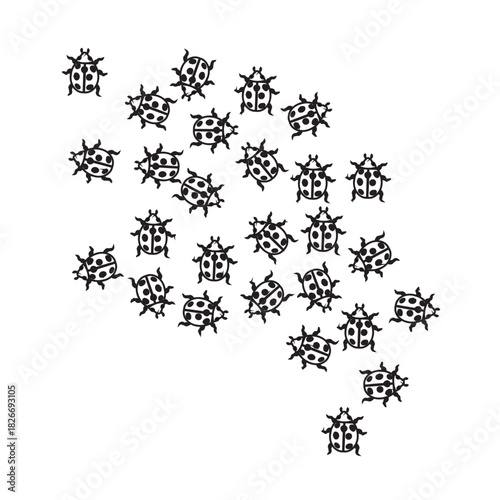 Swarm of Ladybugs