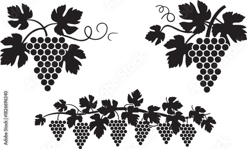 Grapes vine bunch silhouette