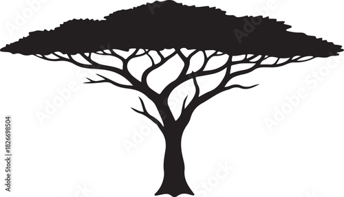black silhouette of safari tree on white background, vector