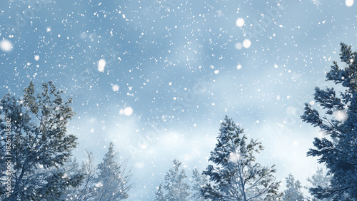 Snowfall Over a Winter Forest Landscape