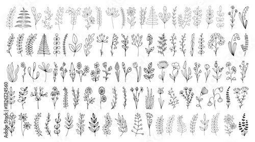 Large set of herbs flowers. Hand drawn doodle vector. Field flora botany. Meadow plants wormwood weeds. Branches, leaves, buds. Blooming season. Botanical icon collection line art illustration.