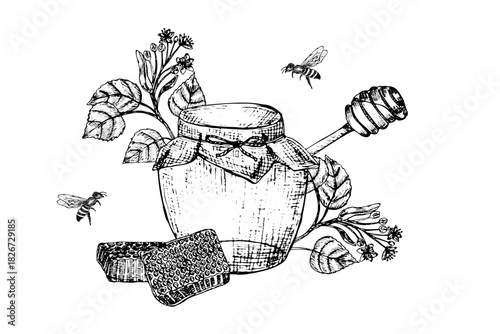 Linden honey vector illustration. Hand drawn spoon, bee, honeycomb, jar, linden branch in vintage linear style. Honey sketch set with linden flowers. Monofloral honey design.