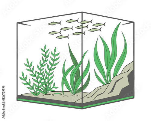 Colorful Tropical Aquarium Fish Illustration