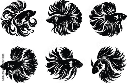 Colorful Siamese fighting fish set showcasing detailed betta artwork with graceful fin movement. 