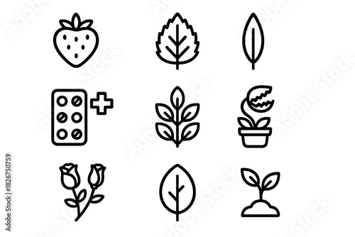 Strawberry, leaves, roses, sprout, and medication symbols representing nature and health