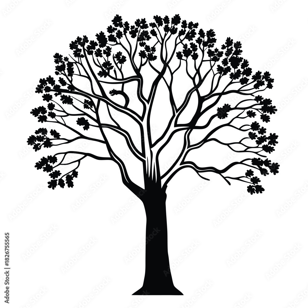 Obraz premium tree silhouette white background
