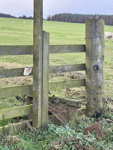 A weathered wooden stile stands at the edge of a grassy field, its steps and rails worn smooth by use. Moss and brush gather at its base while sheep graze in the distance beneath a muted rural sky.