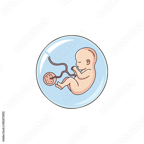 Illustration of a human fetus inside the amniotic sac.