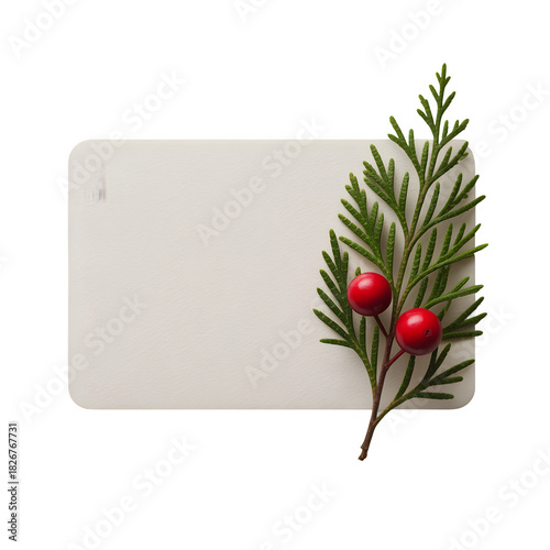 Blank Holiday Card or Label with Cedar Branch and Red Berries
