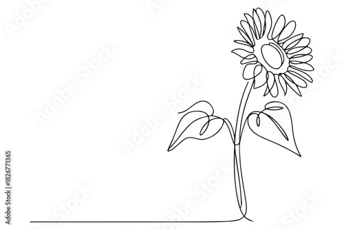 Minimalist sunflower outline one line drawing floral decorative vector illustration
