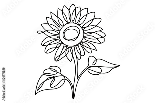 Minimalist sunflower outline one line drawing floral decorative vector illustration
