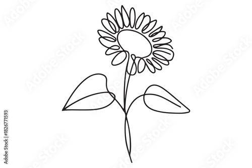 Minimalist sunflower outline one line drawing floral decorative vector illustration
