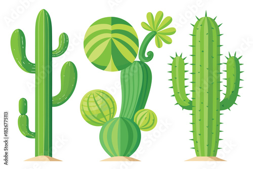 Green Cactus and Succulent Vector Set (Flat Style)