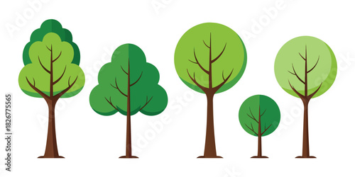 Tall Green Tree Vector Collection (Flat Style)