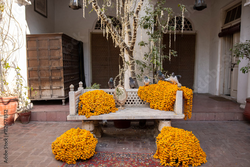 Fototapeta Naklejka Na Ścianę i Meble -  yellow flowers on the street in venice