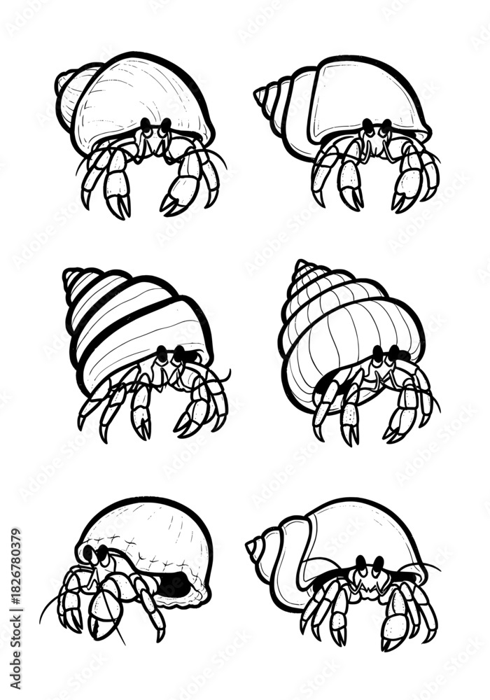 Obraz premium Six cute hermit crabs, isolated on white. Black and white outline drawing of various seashells. Ideal for children's coloring books or marine wildlife illustrations