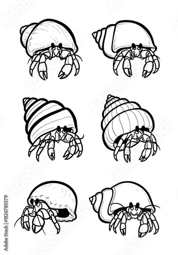 Six cute hermit crabs, isolated on white. Black and white outline drawing of various seashells. Ideal for children's coloring books or marine wildlife illustrations
