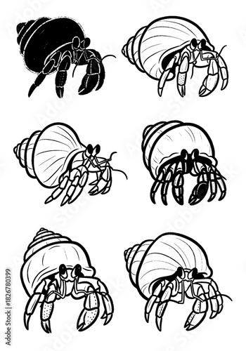 Set of six hand-drawn hermit crab illustrations in black outline and silhouette styles, showing different detailed crustaceans with spiral shells for beach and ocean wildlife concepts