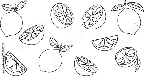 Outline drawing reveals a simple arrangement of lemons and lemon slices on a transparent background