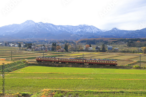 雄大な北アルプスを背景に疾走するえちごトキめき鉄道455・413系電車_2025/11/23撮影