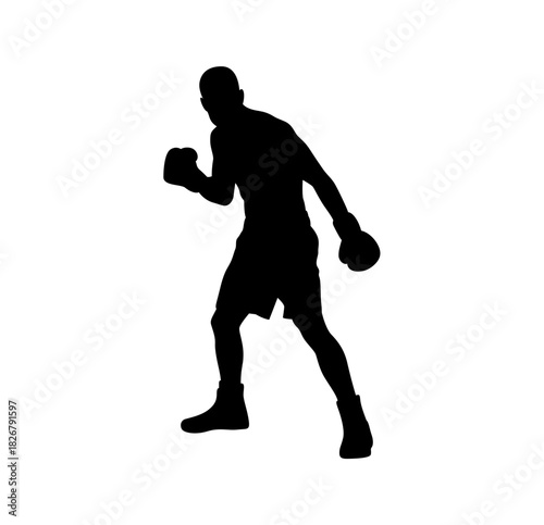 Silhouette of a boxer in fighting stance against a white background