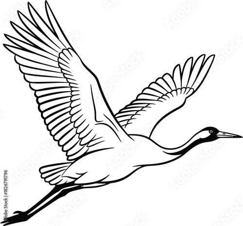 Elegant crane soars through the sky with its wings spread in black and white