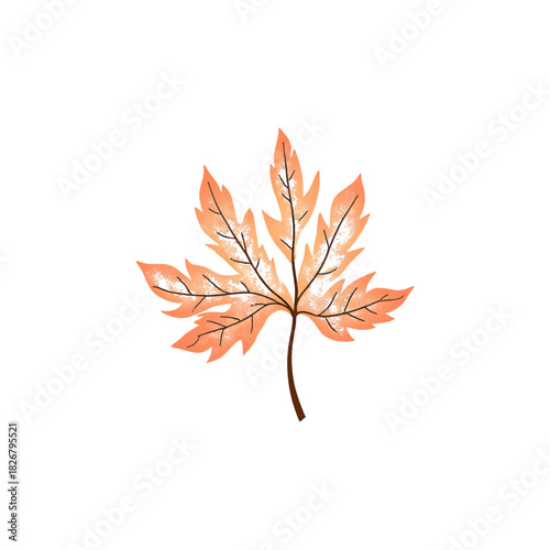 set of autumn leaves