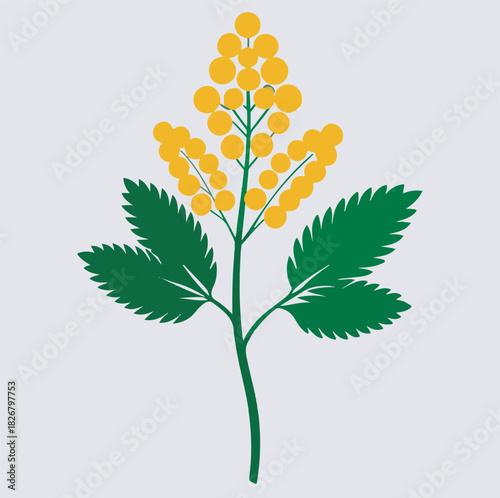 mimosa flower silhouette vector art illustration, vector illustration of a flower