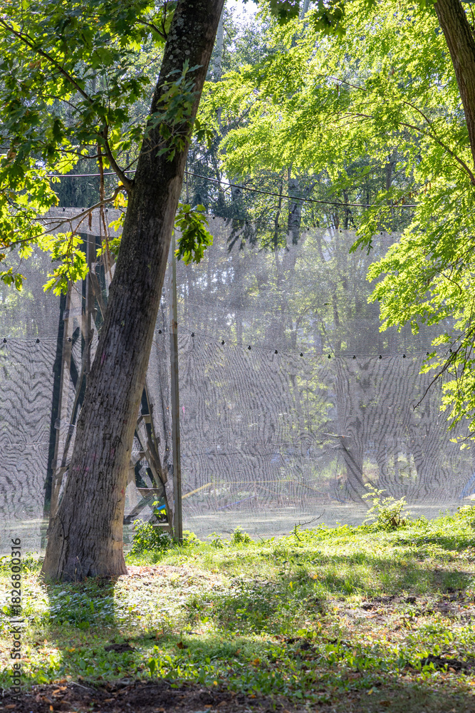 Fototapeta premium A place in the forest for playing paintball