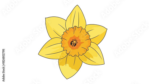 A single yellow daffodil flower with a detailed center.