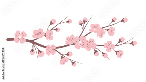 Beautiful Cherry Blossom Branch with Delicate Pink Flowers.