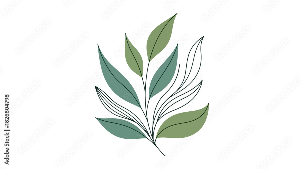 Fototapeta premium Elegant botanical illustration of a delicate plant branch with green leaves.
