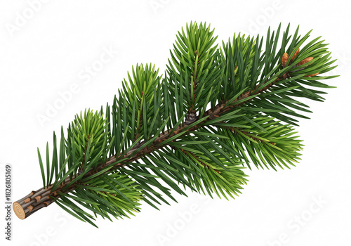 Miniature Christmas Tree Branch
