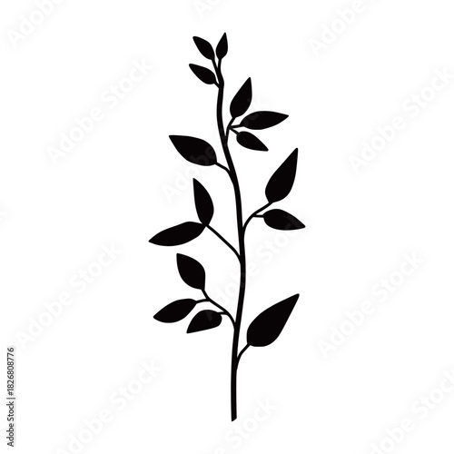 Botanical Elegance: A minimalist illustration of a slender branch adorned with graceful leaves, embodying the purity of nature.