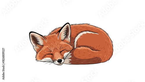 Sleeping fox curled up peacefully with closed eyes and orange fur.