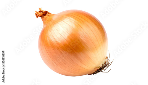 Wallpaper Mural Close-up of a perfectly formed, golden-brown bulb vegetable on a transparent background Torontodigital.ca