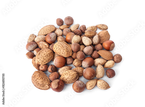 Almonds and hazelnuts, small and large, mixed nuts, fresh grains, with shells, pet food birds and rodents guinea pigs, hamsters, squirrels, or any grain-eating pet isolated on white background.
