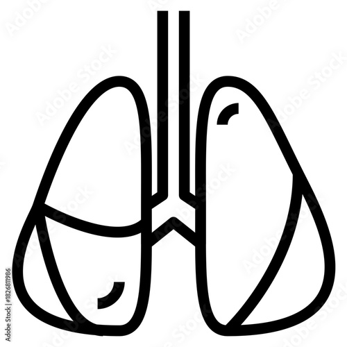 Lungs Outline Icon