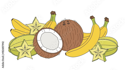 Hand drawn illustration of tropical fruits including coconut banana and starfruit.