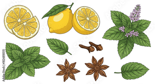 Various aromatic spices and herbs including lemons, mint, cloves, and star anise are arranged against a white background.